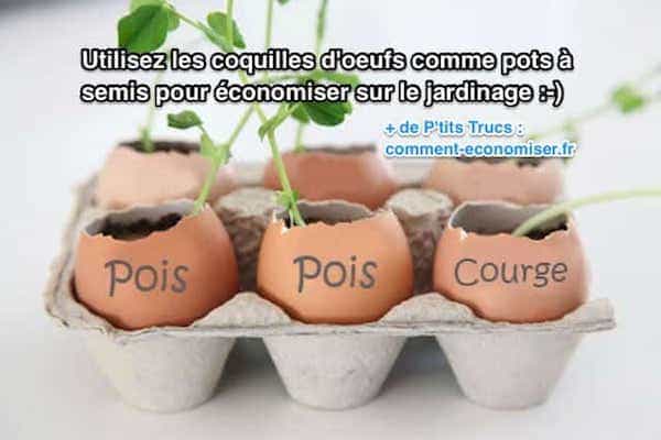 Pour faire pousser vos semis, utilisez des coquilles d'œuf !