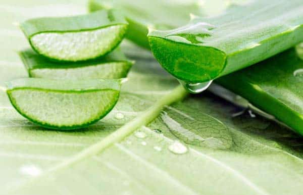 gel aloe vera masque visage