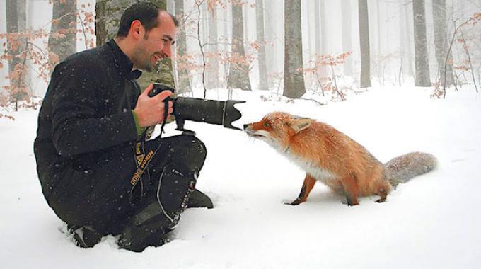 20 Photos Qui Prouvent qu’Être Photographe Animalier Est le Plus Beau Job du Monde.