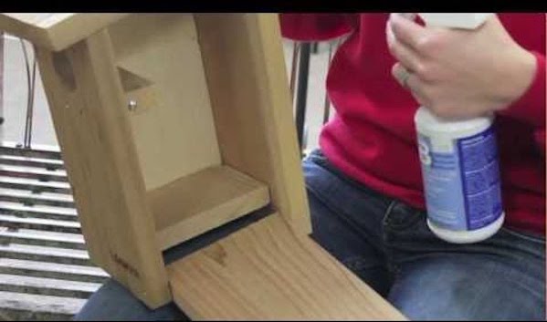 nettoyer niche oiseau poulailler vinaigre