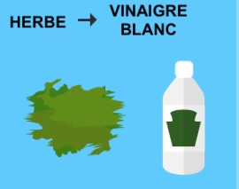 le vinaigre est un détachant contre les taches d'herbes