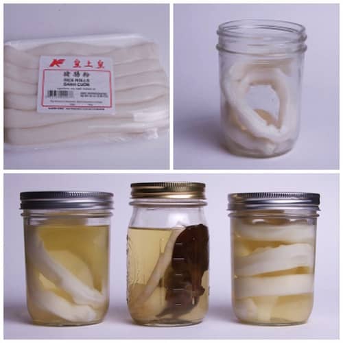 Des bocaux effrayants pour Halloween