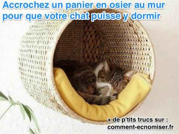 panier pour chat perche