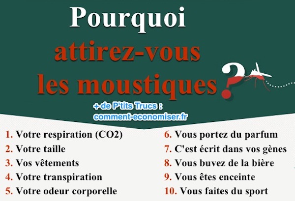 Voici pourquoi vous attirez les moustiques 