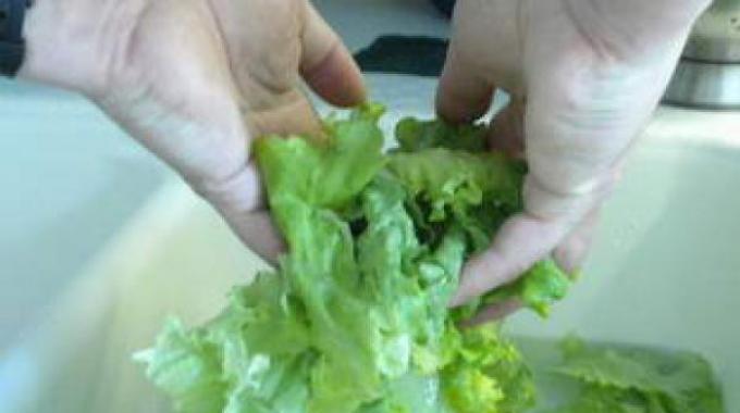 Le Truc SIMPLE pour Rafraîchir une Salade Flétrie.