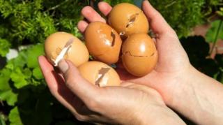 recycler coquilles oeufs