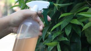 spray anti parasite jardin naturel