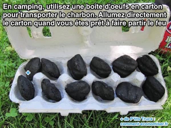 utilisez une boîte d'oeufs en carton pour transporter le charbon