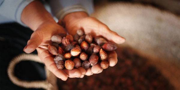 Quels sont les bienfaits pour la peau de l'huile d'argan ?