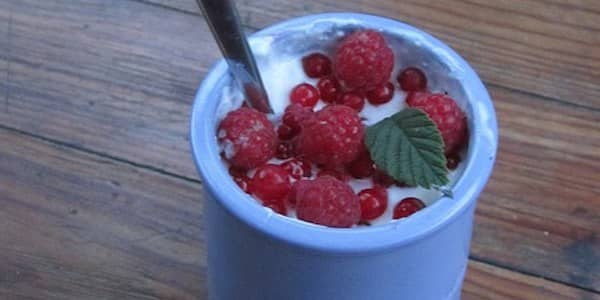 Saviez-vous que le yaourt est bon pour la santé et renforce votre système immunitaire ?