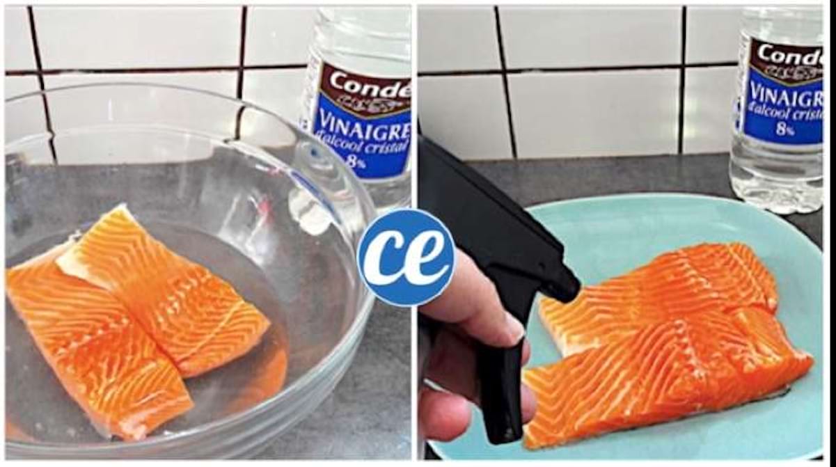 Poissons Et Fruits de Mer L'Astuce à Connaître Pour Éviter une Intoxication Alimentaire.