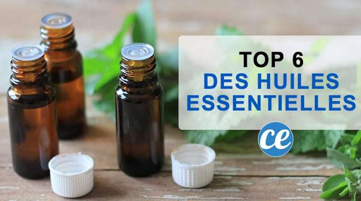 Les 6 Meilleures Huiles Essentielles à TOUJOURS Avoir Dans Sa Pharmacie.