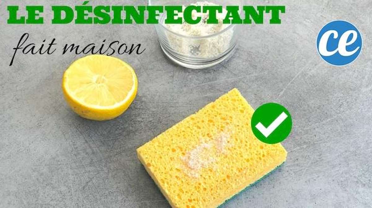 dsinfectant naturel pour la maison