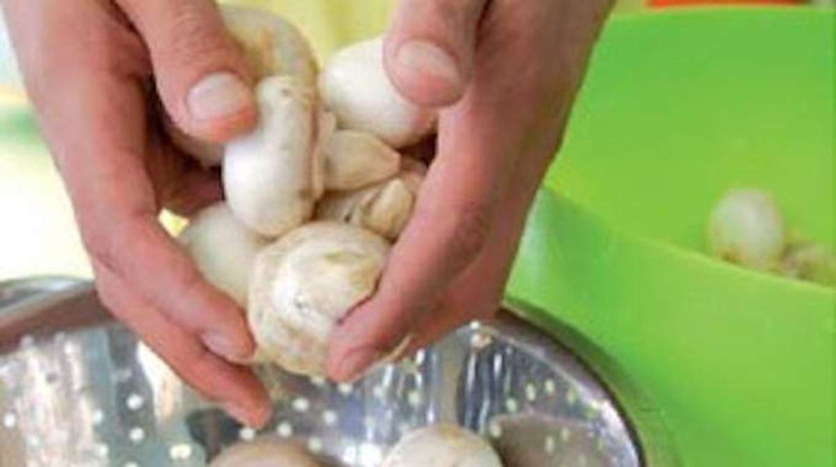 Comment Nettoyer Des Champignons De Paris Frais Comment Nettoyer les Champignons ? 3 Astuces Efficaces.
