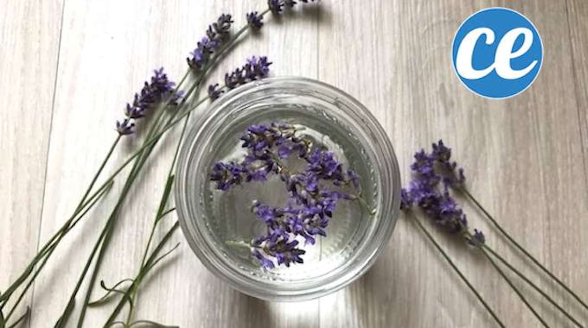 Comment Faire Du Vinaigre Blanc à La Lavande Qui SENT BON La Provence