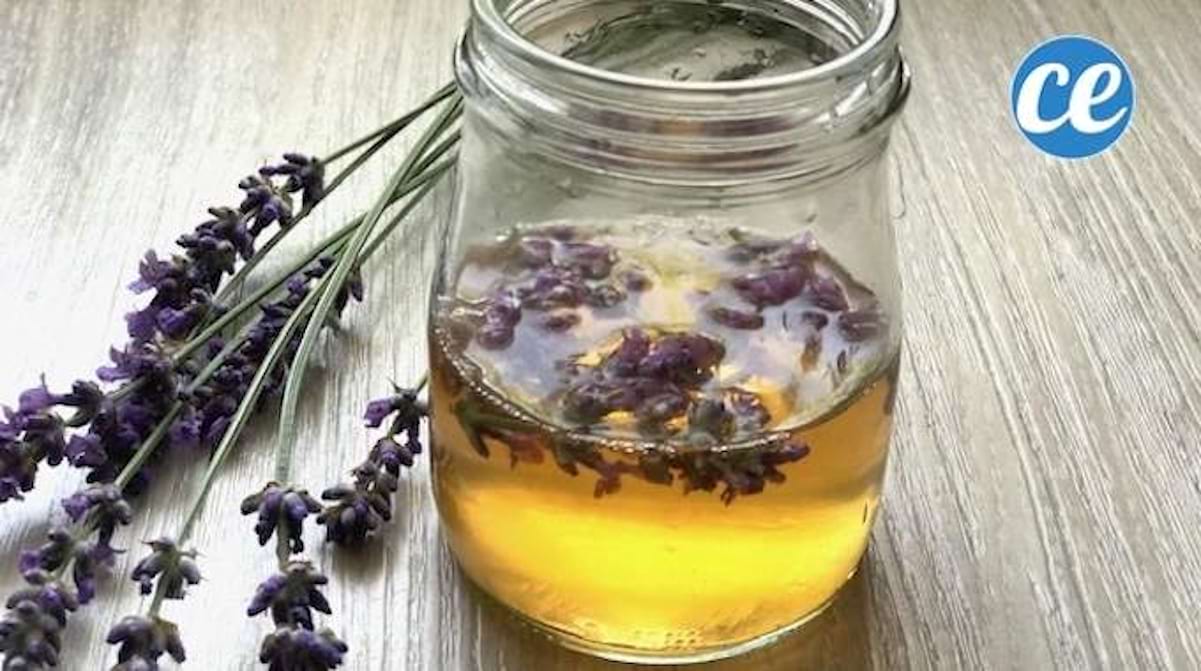 Lotion Tonique Maison : La Recette Facile Que Votre Peau Va ADORER