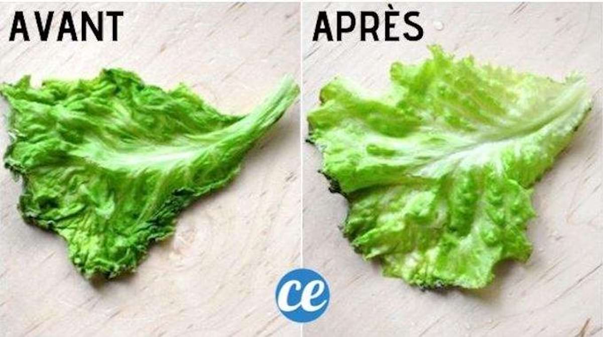 Comment raviver de la salade ?