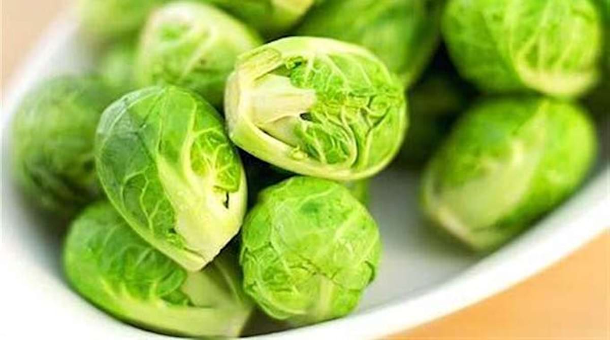 10 Astuces De Maraîcher Pour Faire Pousser De Beaux CHOUX DE BRUXELLES.