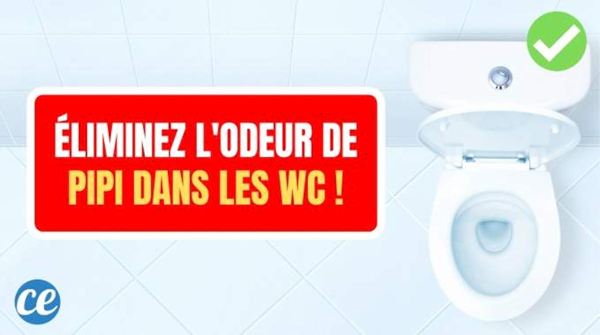 Éliminez l'Odeur de Pipi Dans Vos Toilettes Avec Cette Astuce Géniale