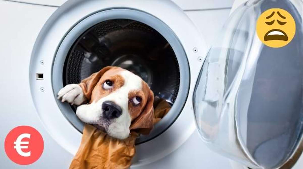 Combien Coute Un Portique De Lavage Machine à Laver : Voici Combien Vous Coûte Chaque Lavage