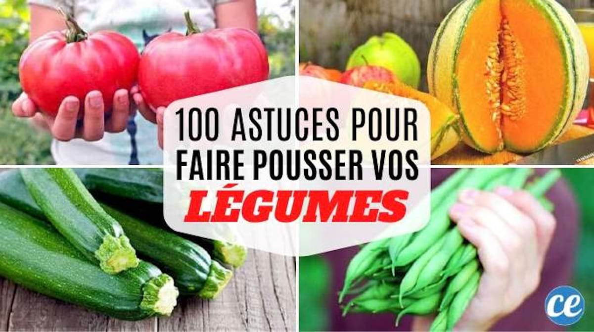 100 Astuces Potager Pour Faire Pousser Vos Légumes FACILEMENT.