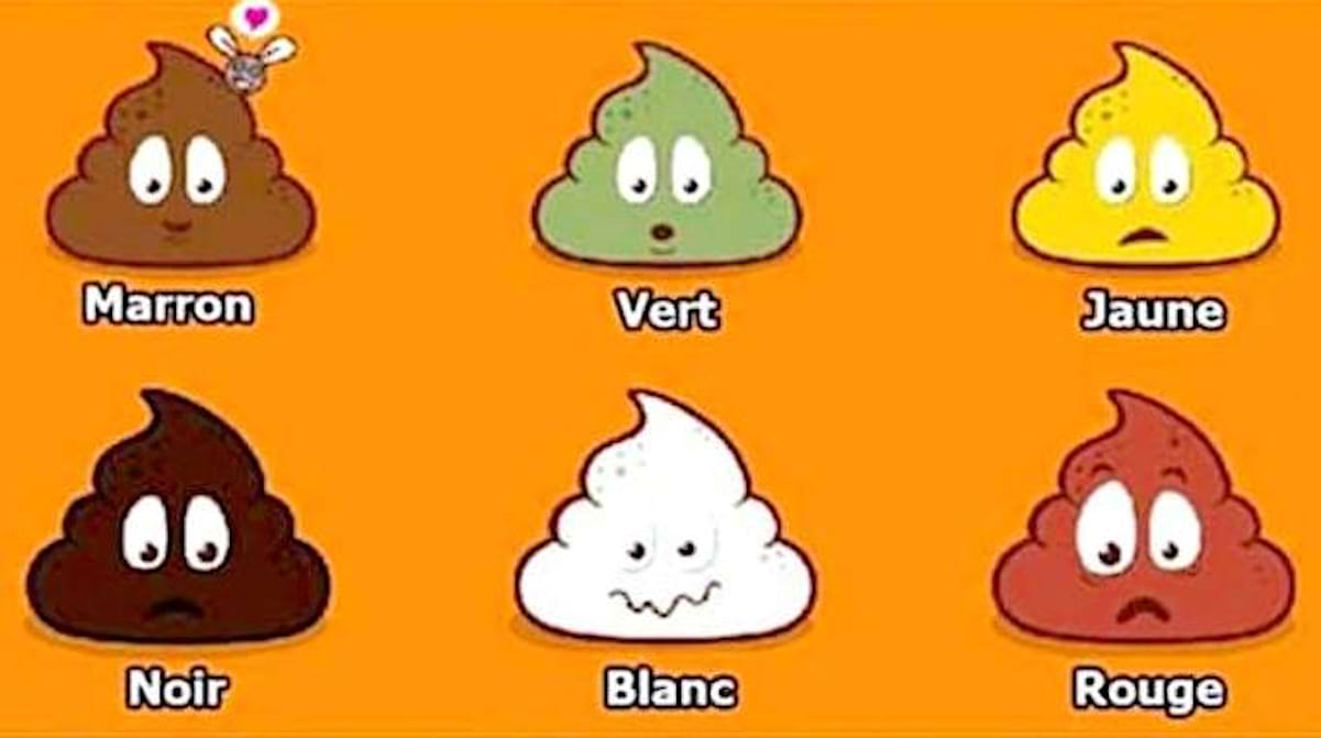 Comment On Dit Caca En Anglais Ce Que Votre Caca Dit Sur Votre Santé (Selon Sa Couleur, Taille & Forme).