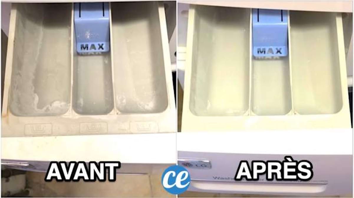 Lave Linge Comment Nettoyer un Bac à Lessive Encrassé SANS Frotter. — free download
