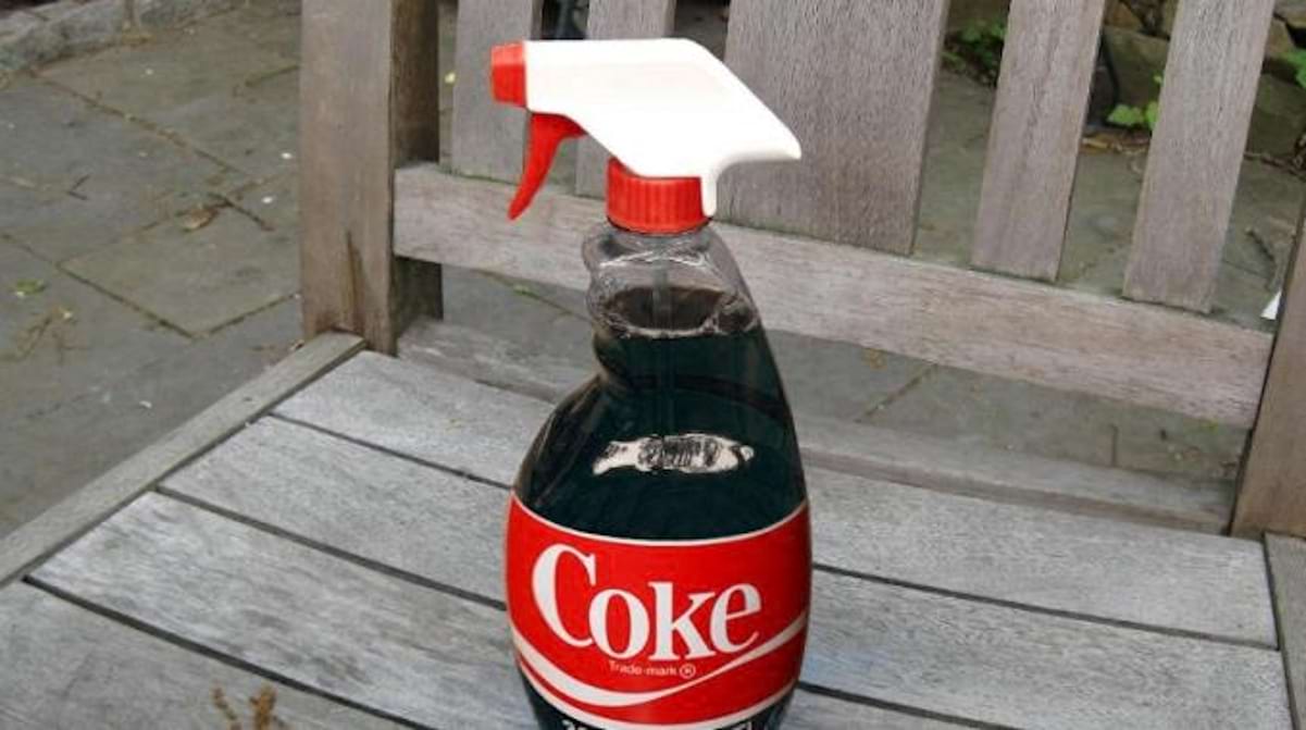 Le Coca Cola Attaque L Estomac Vrai Ou Faux