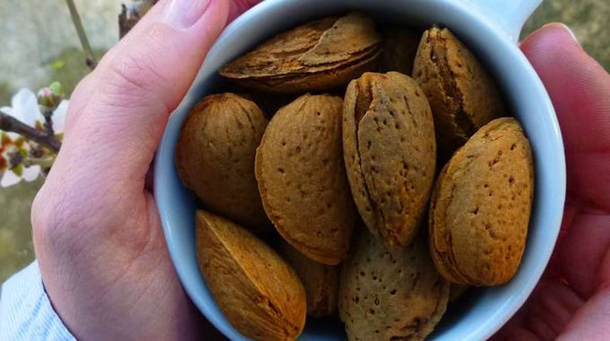 Le Truc Tout Simple Pour Conserver les Amandes Plus Longtemps.