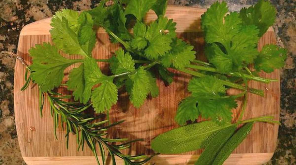 Conservation Des Herbes Fraîches : Une Astuce Infaillible.