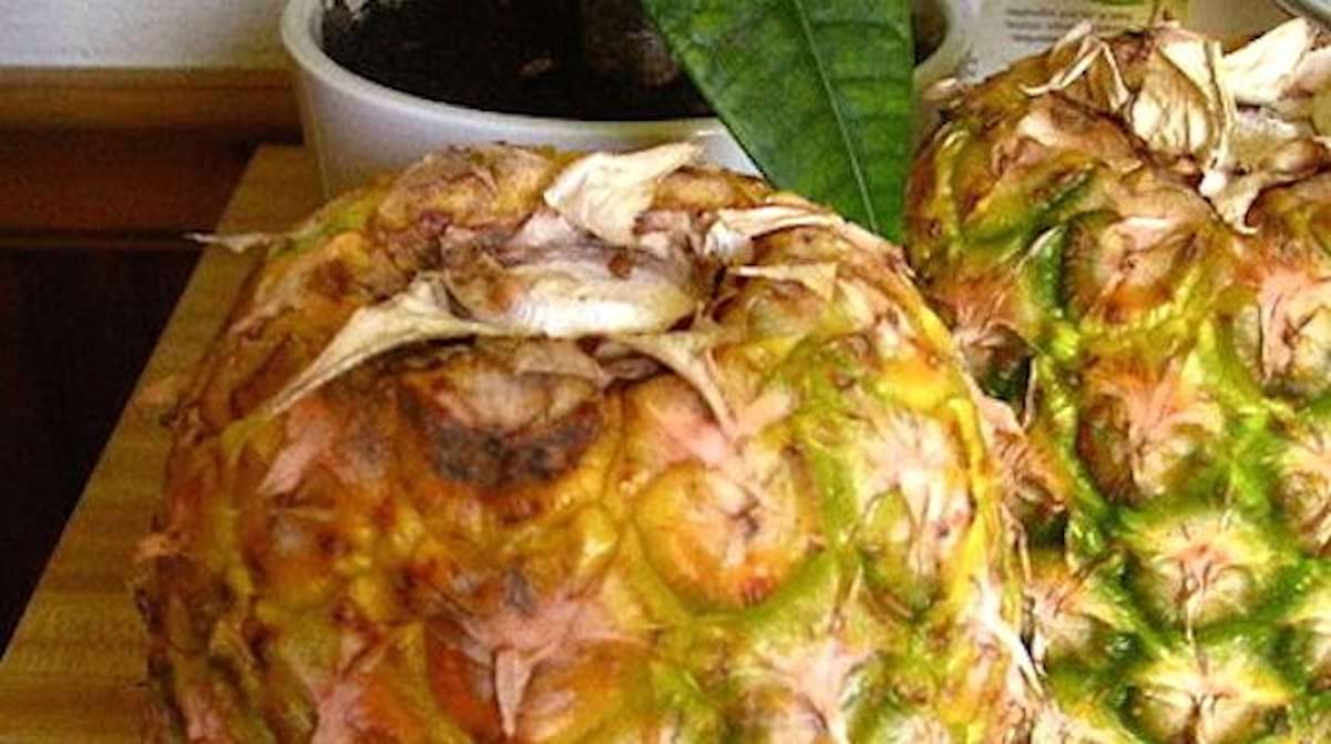 L'Astuce Pour Faire Mûrir un Ananas Rapidement.