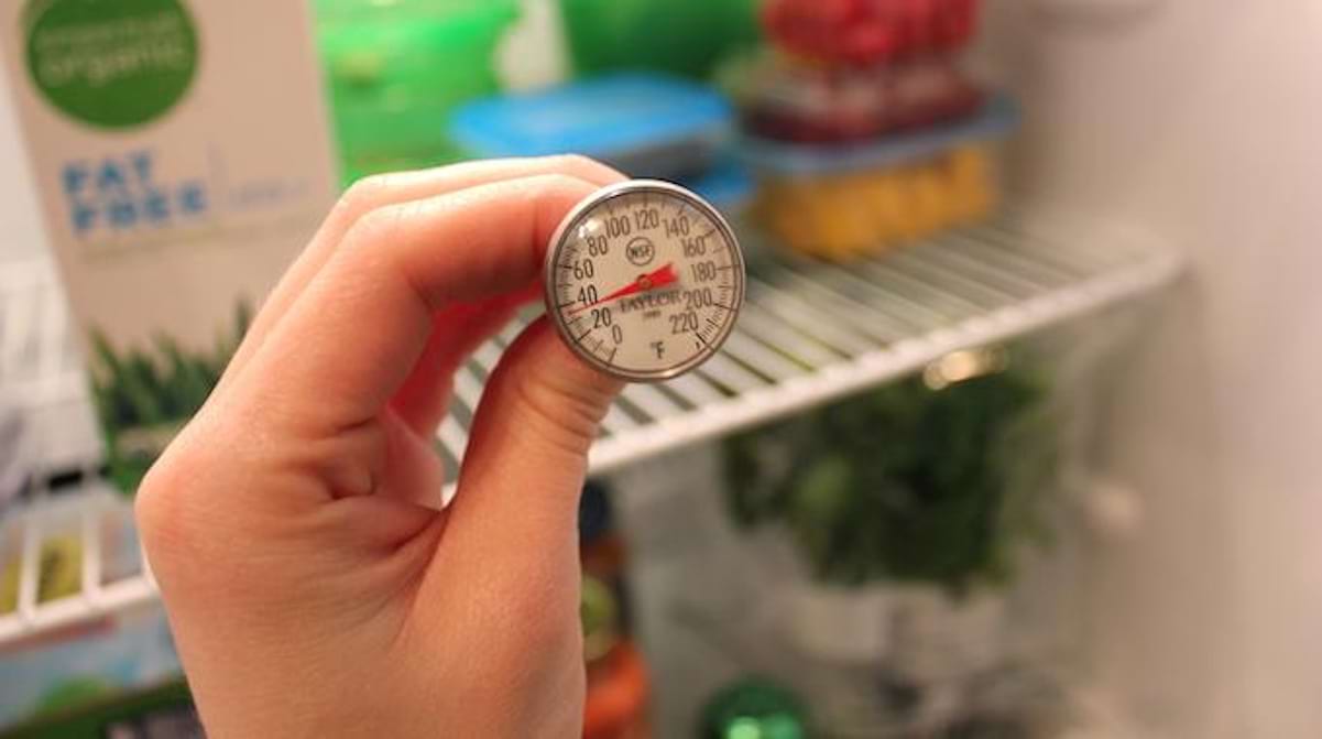 Besoin de Mesurer la Température Exacte du Frigo ? Voici Comment Faire.