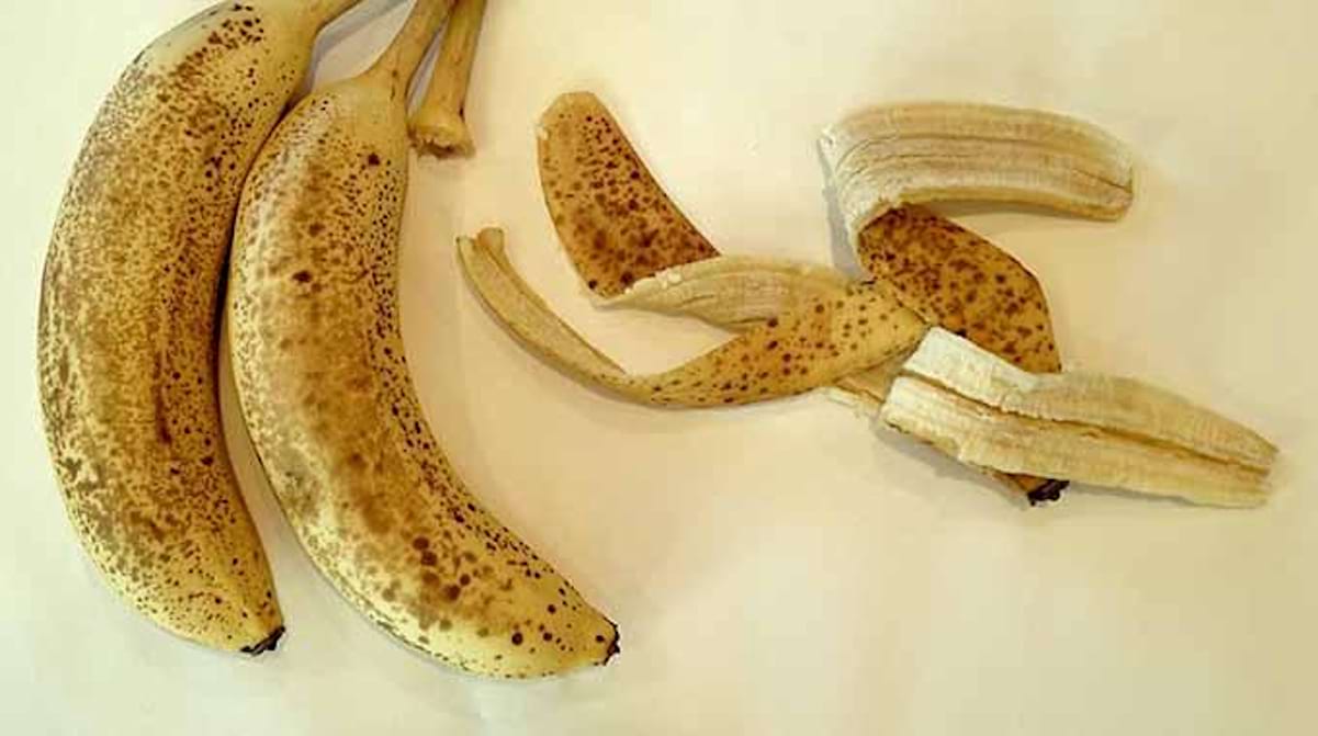 Можно есть кожуру банана. Банановая кожура для рыбок. Кожура банана крючком. Папирус из банановой кожуры. Банановая кожура и ложка.