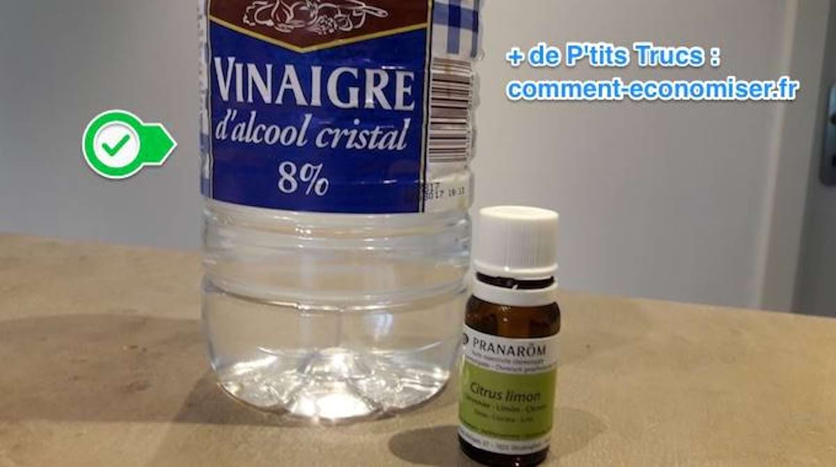 L Huile Et Le Vinaigre Sont Ils Miscibles